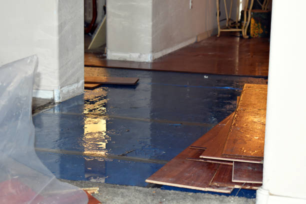 Professional Basement Water Removal technician working in New Vineyard, ME
